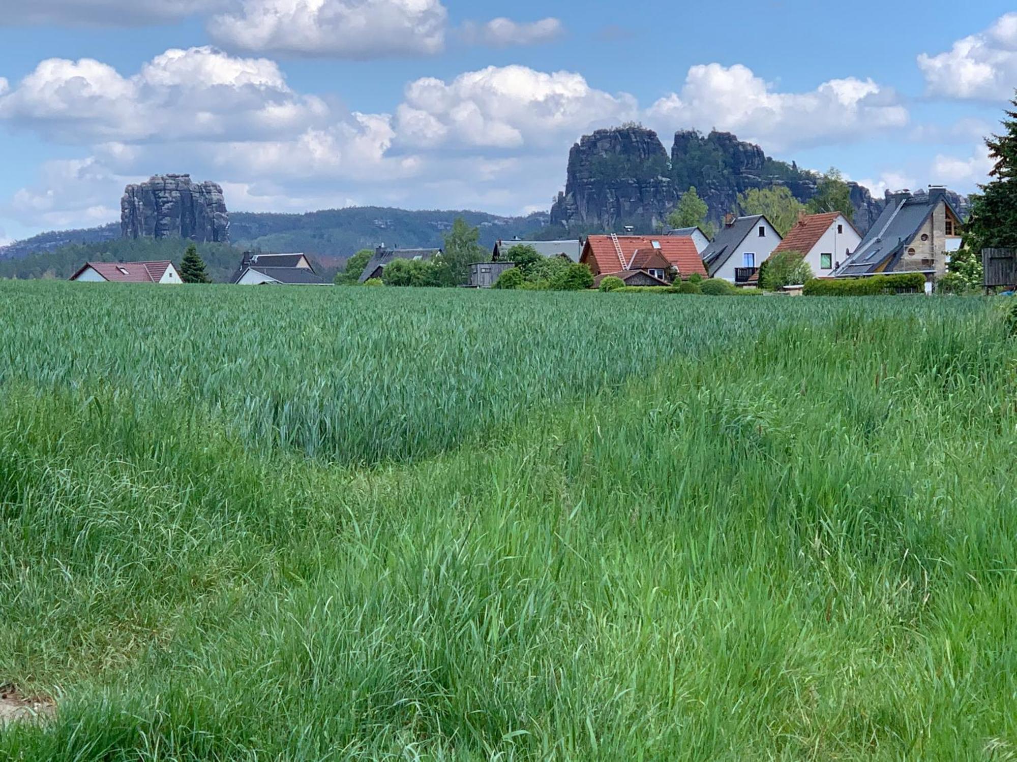 Gasthof Zur Hoffnung 汉特赫姆斯多夫 外观 照片
